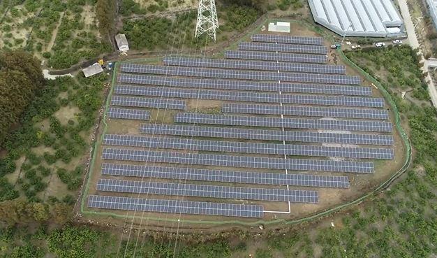 Jeju Citrus Solar No. 90 썸네일