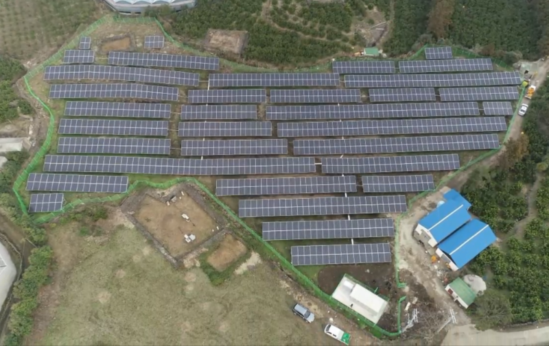 Jeju Citrus Solar No. 137 썸네일