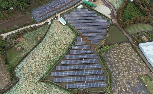 Jeju Citrus Solar No. 57 썸네일