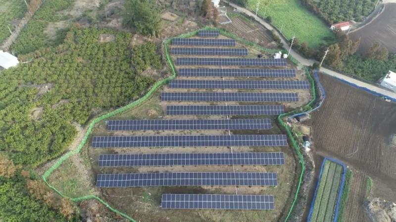 Jeju Citrus Solar No. 133 썸네일