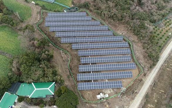 Jeju Citrus Solar No. 64 썸네일