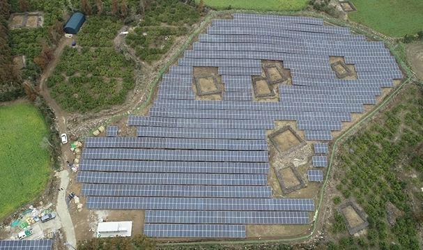 Jeju Citrus Solar No. 46 썸네일