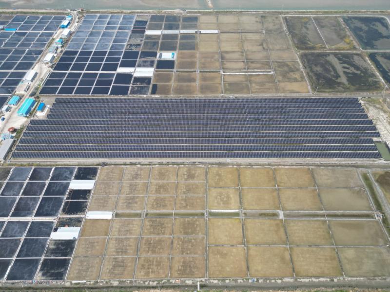 Glory Yeonggwang No. 8 썸네일