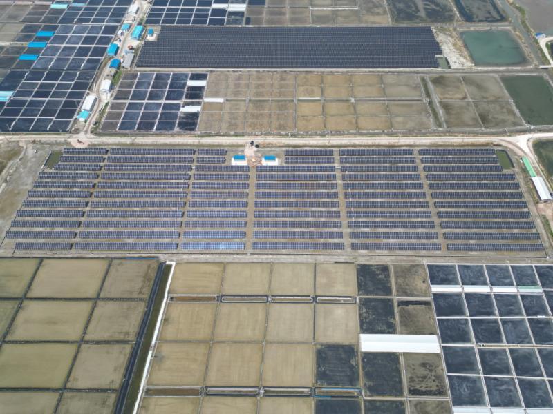 Glory Yeonggwang No. 13 and others 썸네일