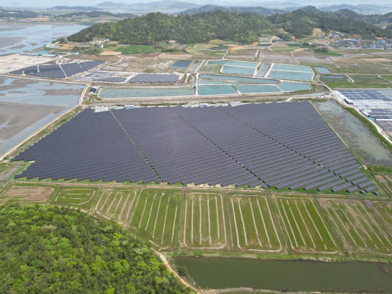 Simp’o Solar No. 5 and others 썸네일