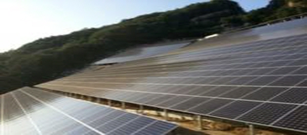 Mungyeong Solar Palm 썸네일