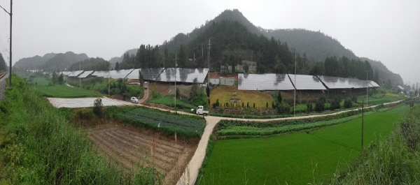 Green rail 썸네일
