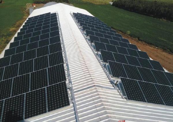 Prazon, Isarael 썸네일